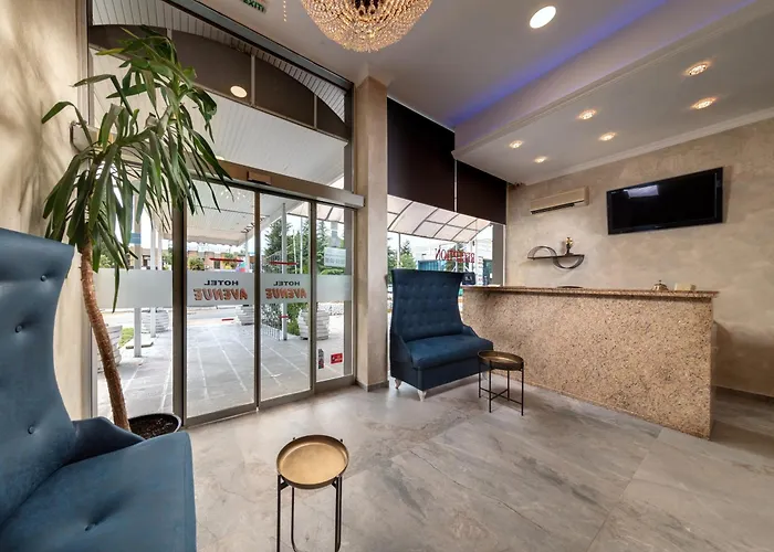 大道酒店 酒店 2*